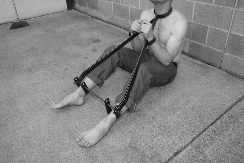 File:Scavenger.jpg
